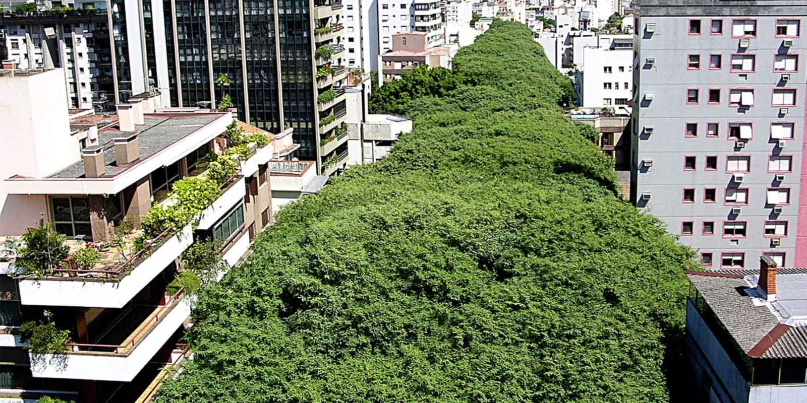 Dicas para comprar o melhor apartamento